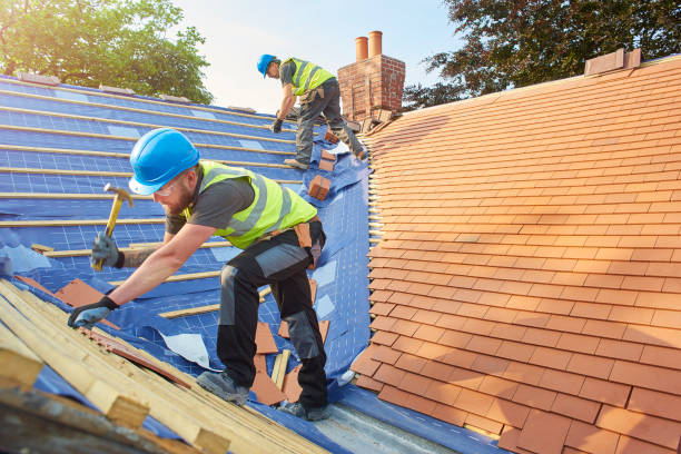 Trusted Lena, IL Roofing services Experts